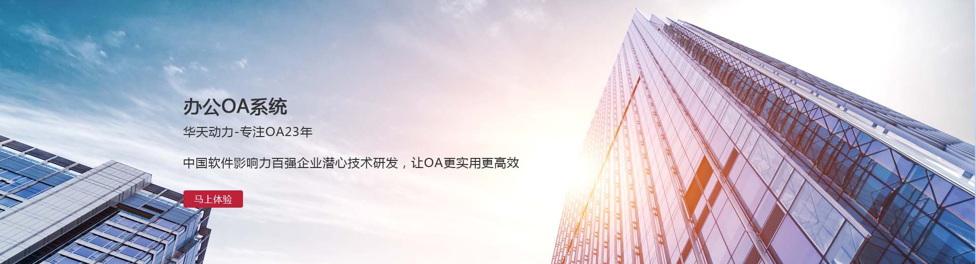 OA系统